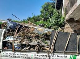 Trusted Fredericksburg, VA Junk Removal Experts